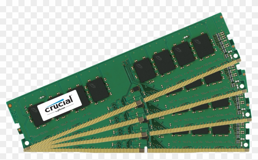 Key Features - - Crucial - Dimm 288-pin #436894