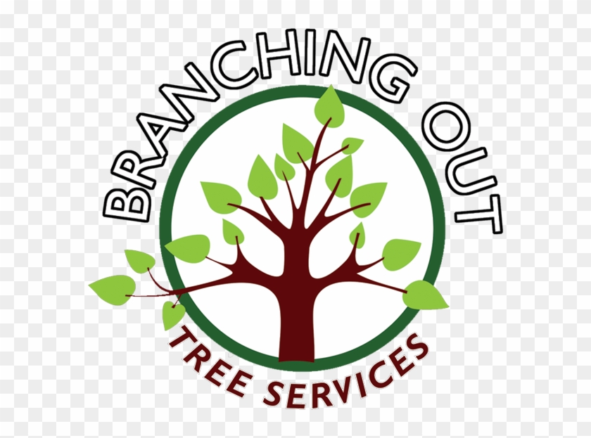 Tree Surgeon, Fencing, Landscaper In Congleton And - Congleton #437833