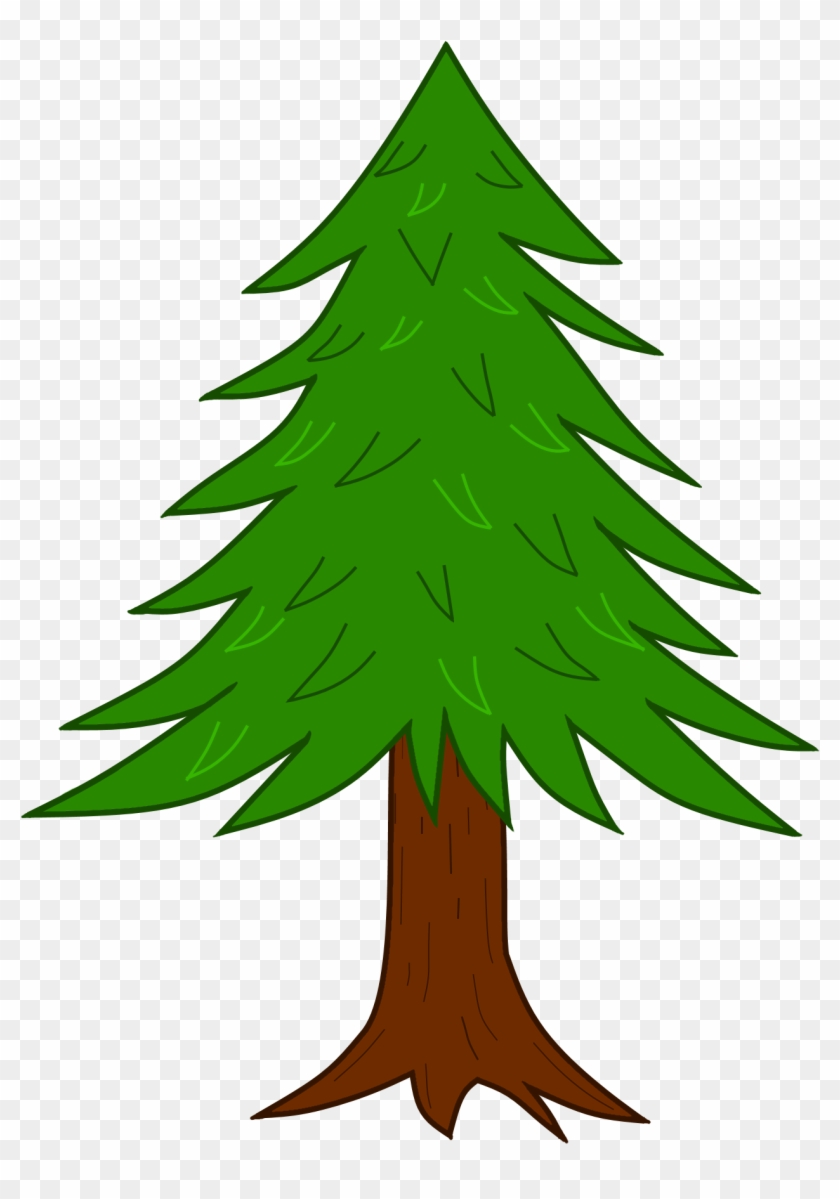 Coniferous-tree - Illustration #438478