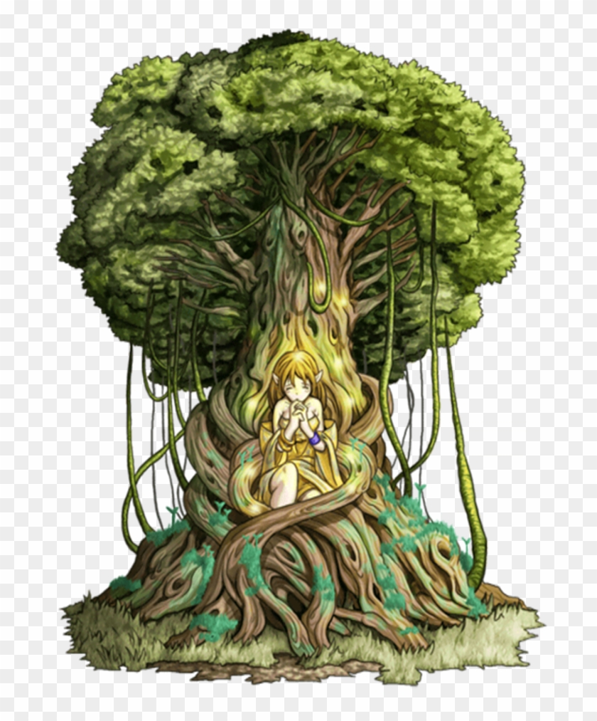 Dryads เป็นนิมป์ประจำต้นโอ๊ค ทั้งนี้คำว่า Drys ใช้หมายถึง - Transparency #440025