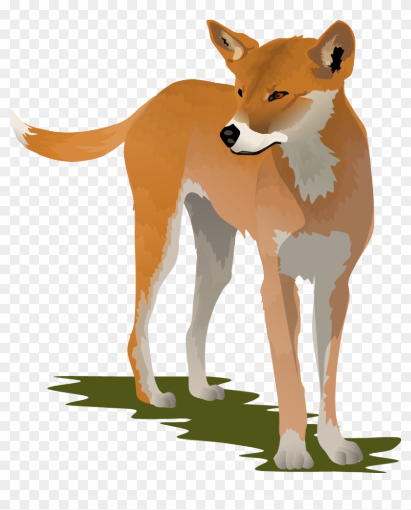 Dingo Clipart #440880