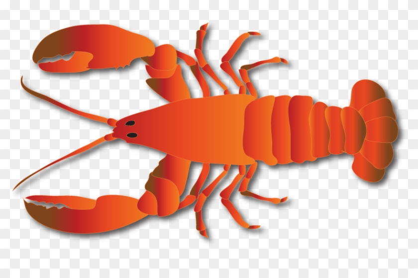 Lobster-1 - Lobster #446504