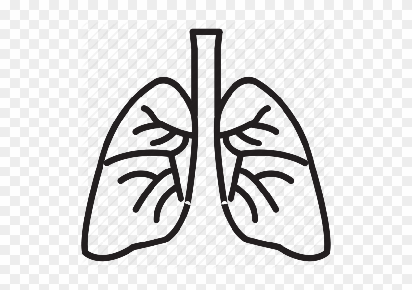 Free Icons Png - Lungs Clipart Transparent Background - Full Size PNG ...