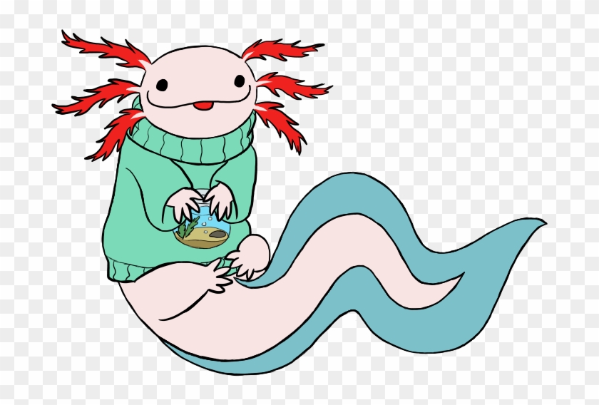 Axolotl Wearing A Fishbowl Sweater By Metalatias5 On Dipper Pines Free Transparent Png Clipart Images Download