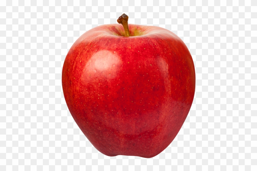 Bright Red Apple - Apple #452280