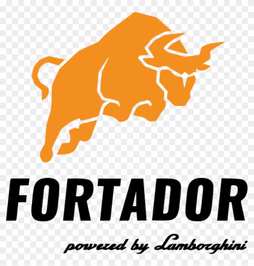 Professional Fortador Autodetailing Training In Germany - Fortador #457291