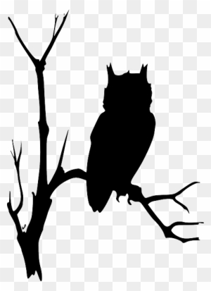 Free Image On Pixabay - Owl On Branch Silhouette
