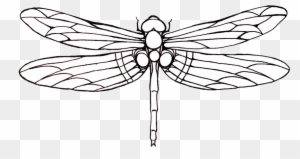 Tattoo Dragonfly Drawing Clip Art - Dragonfly Tattoo Outline