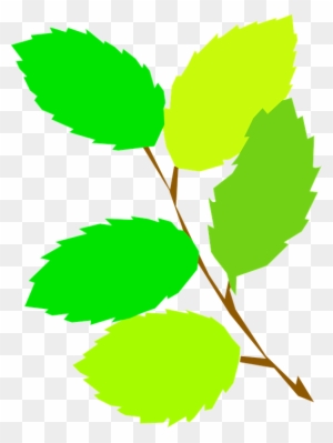 Green leaves clipart. Free download transparent .PNG