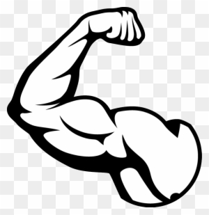 free muscle clipart