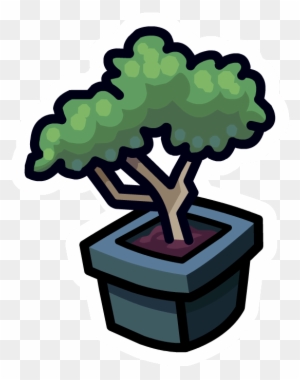 Bonsai - Bonsai Finto Per Acquario - (472x472) Png Clipart Download