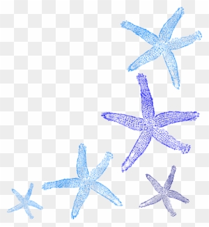 starfish border clipart