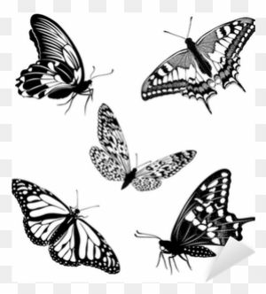 Sommerfugl Inkscape Free Transparent Png Clipart Images Download