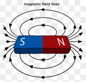 Labelled Diagram Of A Bar Magnet - Free Transparent PNG Clipart Images ...