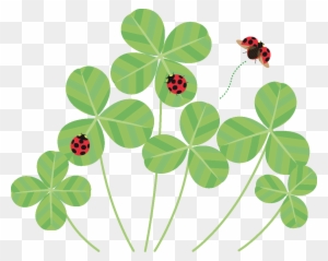 クローバーとてんとう虫のイラストです Shamrock Free Transparent Png Clipart Images Download