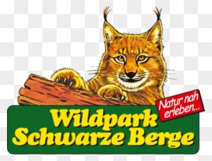 Wildpark Schwarze Berge Gutschein Free Transparent Png Clipart Images Download