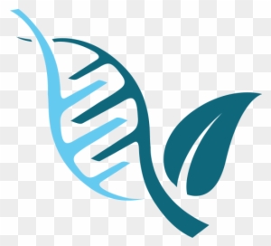 Dr Nurani Naturopathic Doctor Gen Dna Logo Vector Free Transparent Png Clipart Images Download