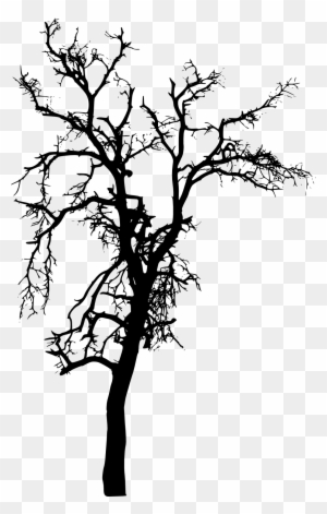 Bare Tree Outline Clip Art