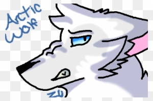 Random Drawing Of An Arctic Wolf On Aj By Zetroumbreonaj - Random Drawing Of An Arctic Wolf On Aj By Zetroumbreonaj