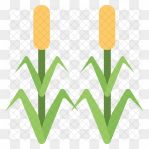 Corn Field Icon - Corn Field Icon - Free Transparent PNG Clipart Images ...