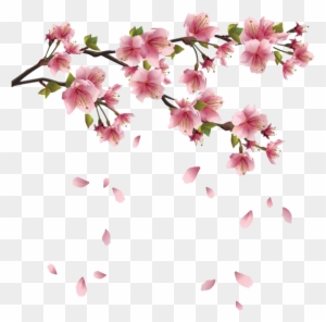 fruit ninja cherry blossom background clipart