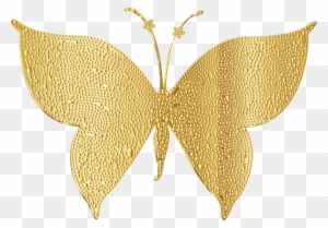 Butterfly Clipart Gold Gold Butterfly Wings Png Free Transparent Png Clipart Images Download