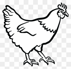 Free Clipart Chicken Outlines