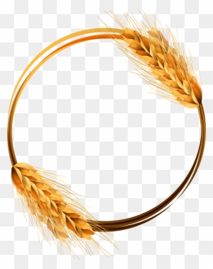 Wheat Ear Barley Clip Art - Wheat Vector - Free Transparent PNG Clipart