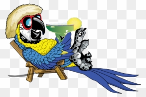 parrot margarita clipart