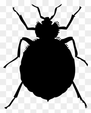 Bed Bugs Treatment Checklist Clipart