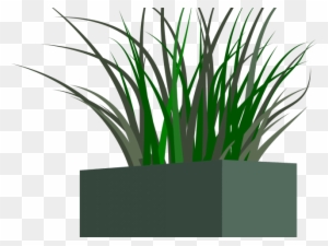 Plant Pot Clip Art at  - vector clip art online, royalty