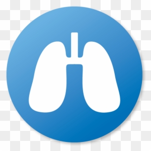 Respiratory Clip Art, Transparent PNG Clipart Images Free Download ...