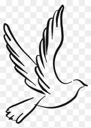 Democratic Reform Party - Black And White Dove Png - Free Transparent ...