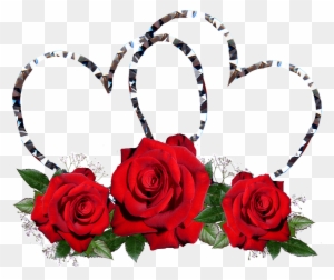 Valentine Red Roses Heart Romance Symbol - Rose - Free Transparent PNG ...
