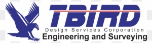 Tbird Design Services Corporation Logo - Design Services Corporation ...