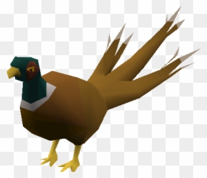 Pheasant - Fpheasant Runescape - Free Transparent PNG Clipart Images