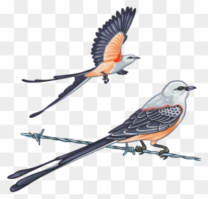 scissor tailed flycatcher clipart of children