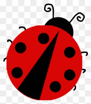 Ladybug Clip Art Template Ladybug Template Printable Free Transparent Png Clipart Images Download