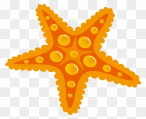 Starfish Drawing Seashell - Amarelo Estrela Do Mar Png Desenho