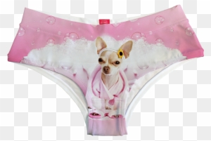 Sweet Bubble Bath Fearless - Chihuahua Clothes - Free Transparent Png 