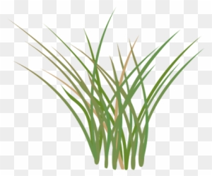 marsh grass clipart