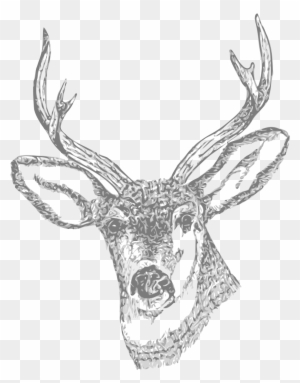 crow nation clipart deer