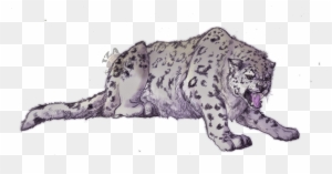 Angry Snow Leopard By Izapug On Deviantart - Drawing