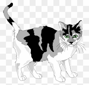 Grey Cat Clipart Transparent Png Clipart Images Free Download Clipartmax - ginger cat with white belly and tail roblox