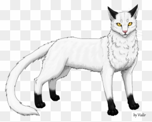 Cat Clipart Transparent Png Clipart Images Free Download Page 27 Clipartmax - egypt roblox warriors wikia fandom powered by wikia