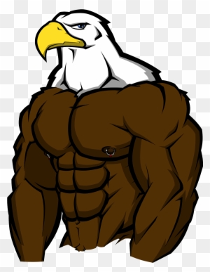 Muscle Bird Of Prey - Bald Eagle With Muscles - Free Transparent PNG ...