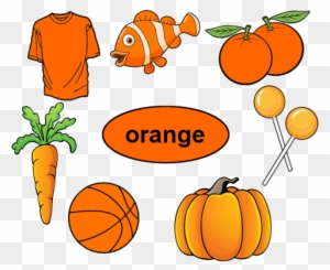 color orange worksheets for kindergarten signs with wrong grammar free transparent png clipart images download