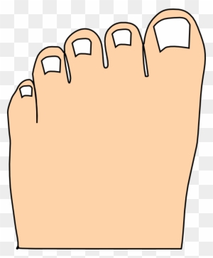 Cartoon Picture Of Toes - Free Transparent PNG Clipart Images Download