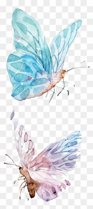 Butterfly Clipart Transparent Png Clipart Images Free Download Page 21 Clipartmax - pastel blue butterfly wings roblox