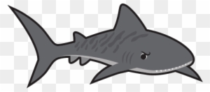 tiger shark clip art